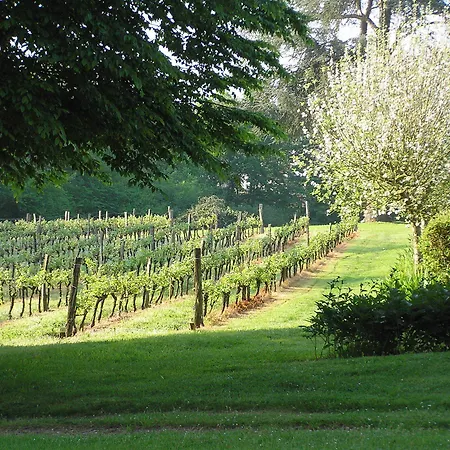 Oda ve Kahvaltı Chateau Valcreuse La Roche-Posay