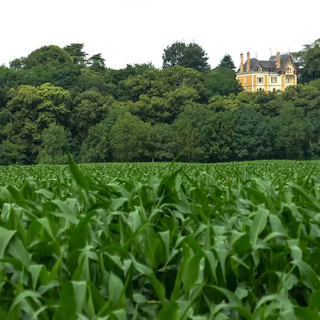 Oda ve Kahvaltı Chateau Valcreuse